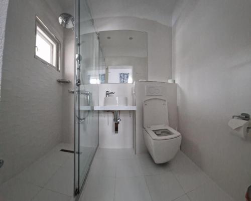 a white bathroom with a toilet and a sink at Vila Popovici in Prăjila