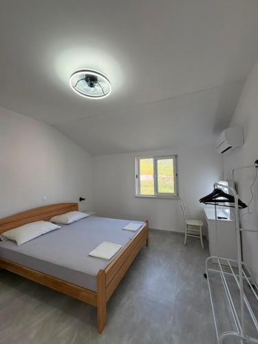 Apartments Dodik