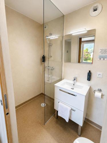 a bathroom with a sink and a shower at Chambre single à louer dans une colocation in Thyez