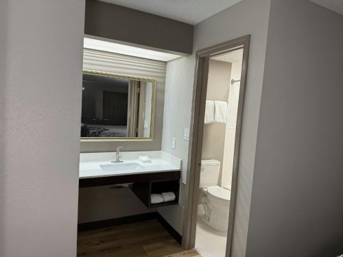 a bathroom with a sink and a mirror and a toilet at Red Roof Inn Helen, GA - Downtown in Helen