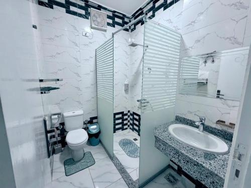 a bathroom with a toilet and a sink and a shower at Star - private apartments in Luxor