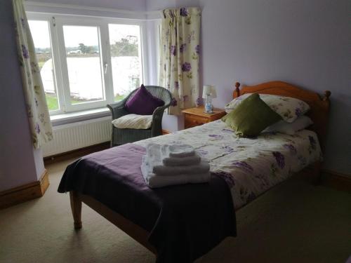 a bedroom with a bed and a chair and a window at Ty Newydd in Llangadog