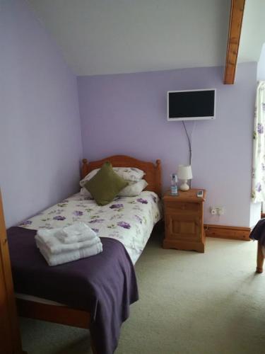 a bedroom with a bed and a tv on the wall at Ty Newydd in Llangadog