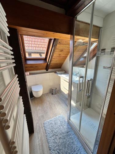 an attic bathroom with a toilet and a window at Chambres d'hôtes chez Adam 