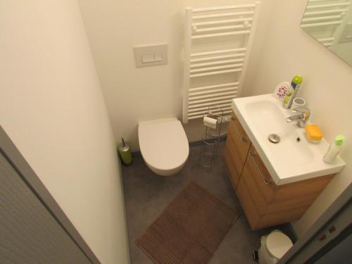 a small bathroom with a toilet and a sink at L'Orchidée in Lassay