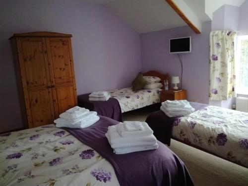 Habitación con 2 camas y toallas. en Ty Newydd, en Llangadog