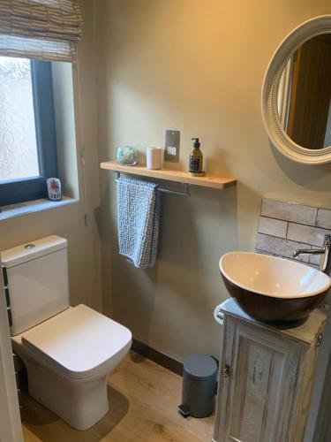 a bathroom with a sink and a toilet and a mirror at Carrick Chalets in Cairndow
