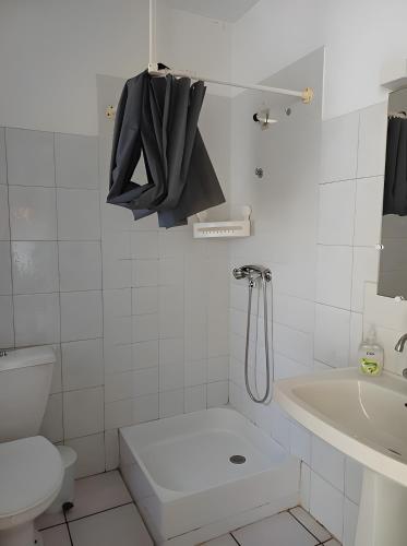 a bathroom with a toilet and a sink and a shower at Gîte proche de La Salvetat in Le Soulié