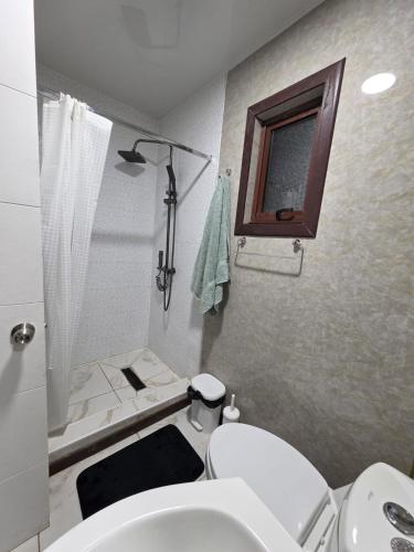 a bathroom with a white toilet and a shower at Casa en Lanco in Lanco