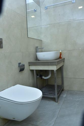 a bathroom with a white toilet and a sink at Hotel safal exotica in Puri
