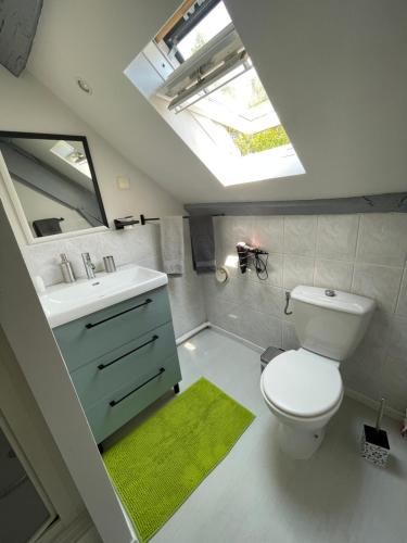 a bathroom with a toilet and a sink and a skylight at Chambres d'Hôtes Bastia et Bonifacio in Retiers