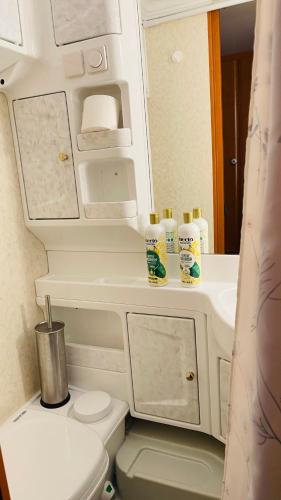 a bathroom with a toilet and a sink and a mirror at Caravan at the Cottage House in Ertenvåg