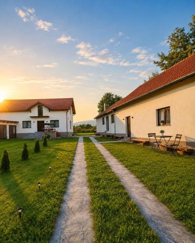 a path leading to a house and a building at Casa Aida in Peşteana
