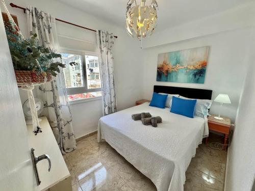 Amapola de SteraM FLATS Torremolinos