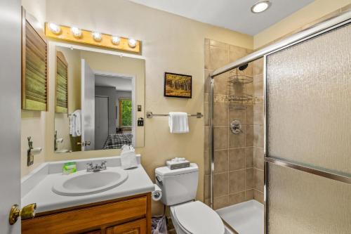 a bathroom with a toilet and a sink and a shower at Wintersong in Clark