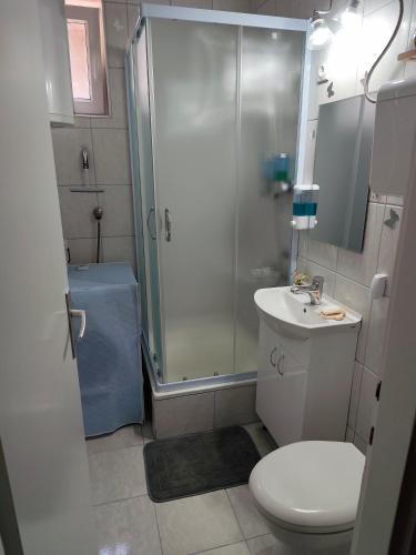 a bathroom with a shower and a toilet and a sink at My Way in Beograd