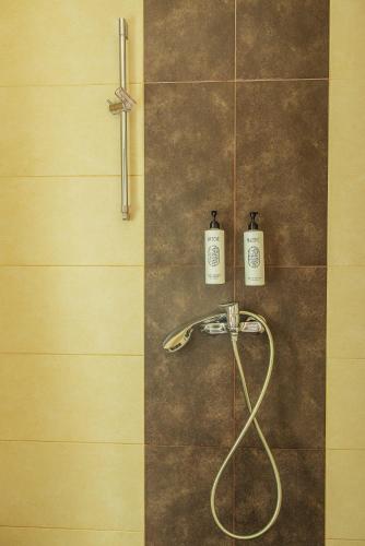 a shower with two soap bottles on the wall at Olympus Thea Boutique Hotel in Platamonas