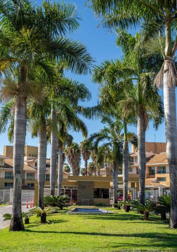 a group of palm trees in front of a building at The Sun Full Condominiun in Brasília