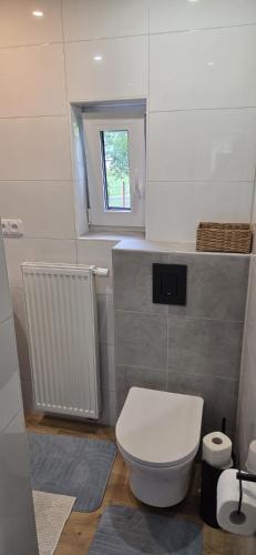 a bathroom with a white toilet and a window at Beskydy apartman Four Seasons in Hnojní