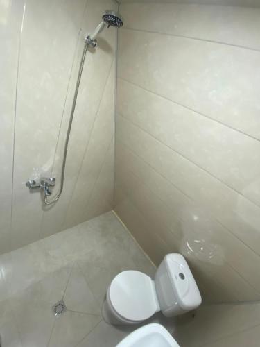 a bathroom with a white toilet and a shower at khedi cottage in Mestia
