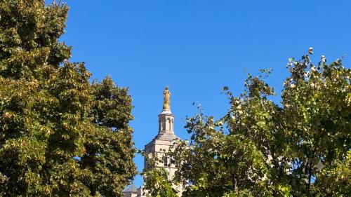 Le Limas by Odomo