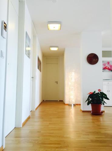 an empty hallway with a plant in a pot at Rheinblick Riverview Luxury in Konstanz