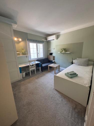 Charming Villa with big pool and AC in Antibes