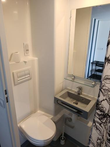 a bathroom with a toilet and a sink and a mirror at La Halte in Torigni-sur-Vire