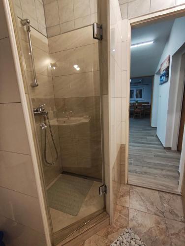 a shower with a glass door in a bathroom at Apartment Velebit with swimming pool - 10km from sea - 20km from Zadar in Benkovac