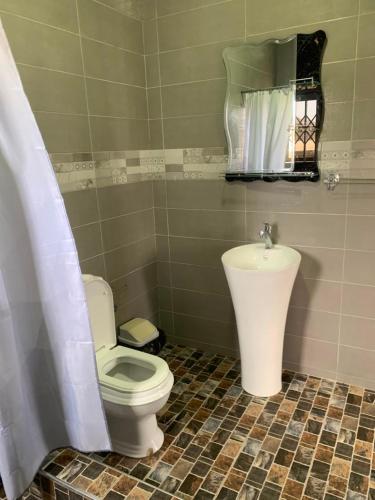a bathroom with a toilet and a sink at Tranquility Lodge in Abrekuma