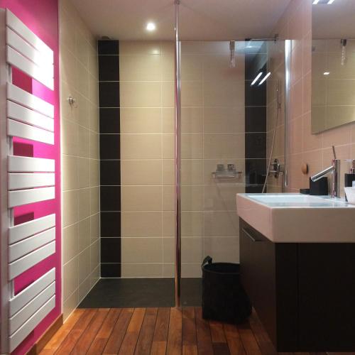 a bathroom with a shower and a sink at L'Aparté in Nancy