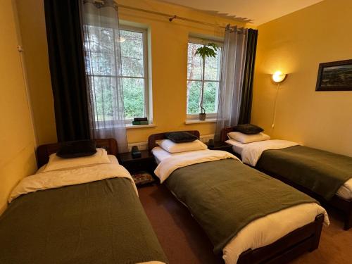 three beds in a room with two windows at Auksinė giria in Kernavė