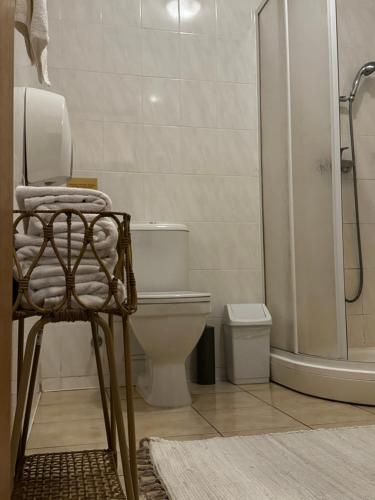a bathroom with a toilet and a shower and a chair at Auksinė giria in Kernavė