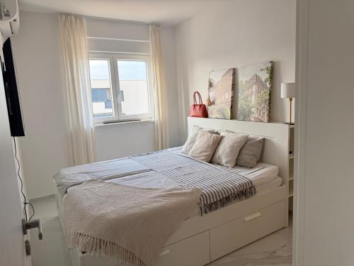 A pearl in heart of Pula