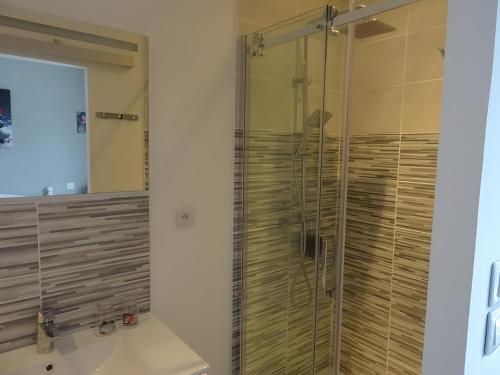 a glass shower in a bathroom with a sink at Chambres d'hôtes Les Écureuils in Saint-Laurent-de-la-Prée