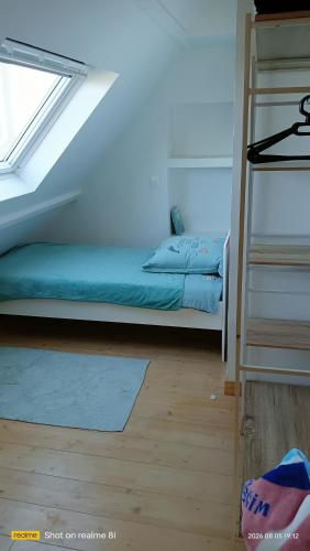 a bedroom with a bunk bed and a ladder at Ty Penty in Riantec