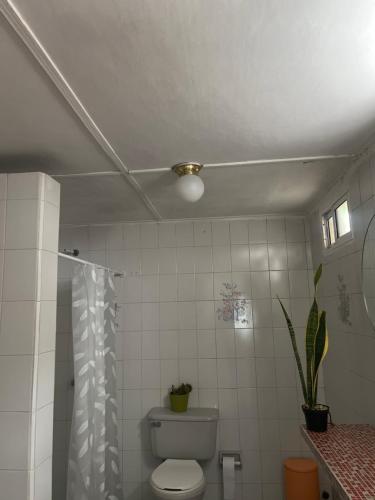 a bathroom with a toilet and a ceiling at Templo Verde Eco hostal in Minca