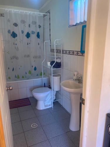 a bathroom with a toilet and a sink and a shower at Cabañas Wiñaypacha Putre in Putre