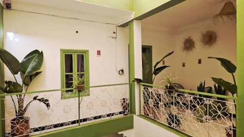 a mirror in a room with plants on the wall at Dar Suncial in Marrakesh