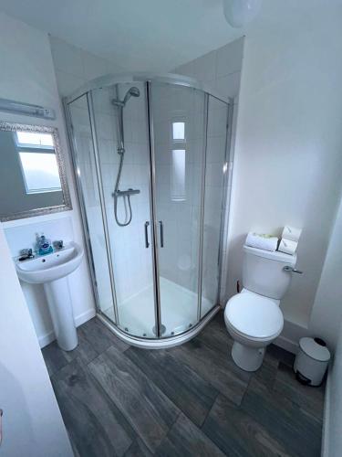 a bathroom with a shower and a toilet and a sink at O'Loughlin's Bar in Milltown Malbay