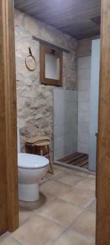 a bathroom with a toilet and a stone wall at Habitació doble Àger in Àger