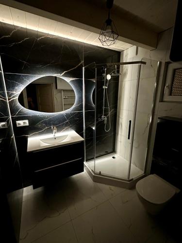 a bathroom with a shower and a sink and a mirror at Osada Mielenko in Mielenko