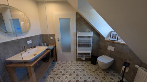 a bathroom with a sink and a toilet at Das Fichtelgut in Wunsiedel