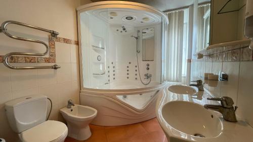 a bathroom with a shower and a toilet and a sink at Zemgale in Jelgava