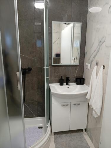 a bathroom with a shower and a sink and a mirror at Studio apartman Topolovec in Krapina