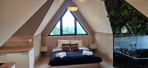 a bedroom with a bed with a sink and a window at Siedmiu Króli Rooms&SPA in Bukowina Tatrzańska