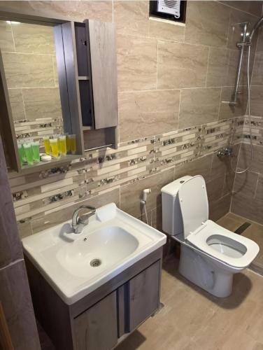 a bathroom with a sink and a toilet and a mirror at Wadi rum bubble camp in Wadi Musa