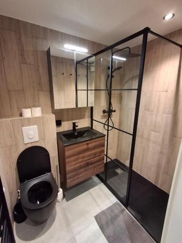 ein Badezimmer mit Toilette, Waschbecken und Dusche in der Unterkunft Chalet douceur in Virton