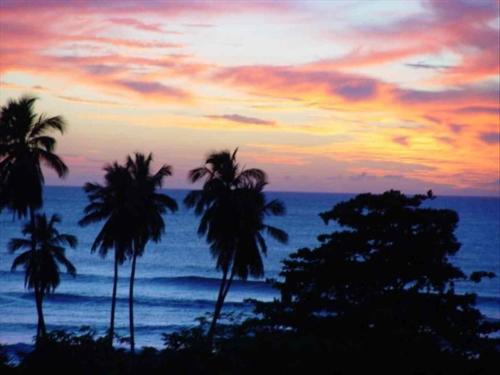 a sunset with palm trees in front of the ocean at Tres Amigos Beach House, Rincon PR in Rincon