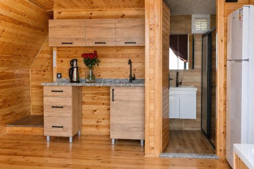 a kitchen in a tiny house with wooden walls at Iotape Hotel Antalya in Işıklı